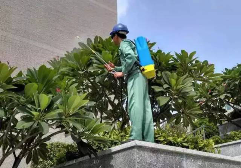 小区物业管理:提升居住品质的金钥匙